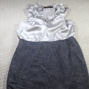 The Limited Collection Size 6 Silver & Black Size Zip Ruffled V-Neck Dress